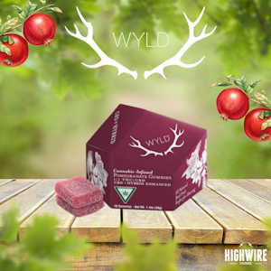 WYLD - WYLD Gummies Pomegranate 1:1 CBD 200mg