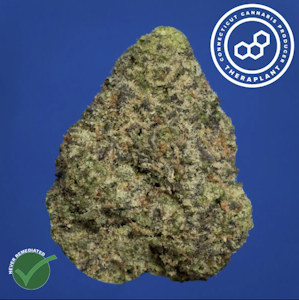 THERAPLANT - Wedding C 4822