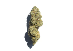 Coastal Roots | Wedding Cake | 28g Flower | 28g Total | [H]