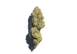 Coastal Roots | Wedding Cake | 7g Flower | [H]