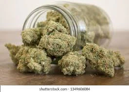 Emerald Fire Farms - Deli-Style-IX | Emerald Fire Farms | Grape Stank Main Image