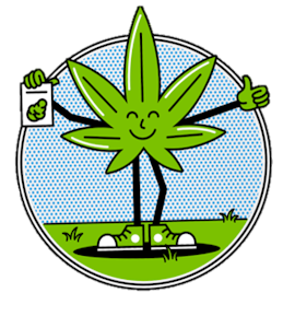 ReUp - ReUp Orange Beanie