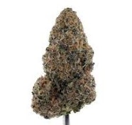 Elevated Trading Wendy P High-Grade THCA Hemp Flower