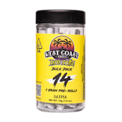Hollywood Haze (S) | 1g 14pk Prerolls | West Coast Treez