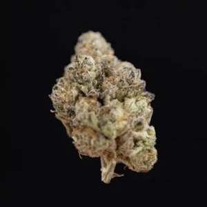 CURALEAF - White Hot Guava (H) 00613