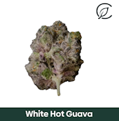 Curaleaf Whole Flower 3.5g White Hot Guava (H) 01126