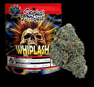 SMOKEN PROMISES - Smoken Promises - Whiplash - 3.5g Flower
