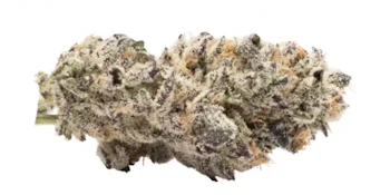 White Inferno - Deli Flower - Emerald Fire Farms