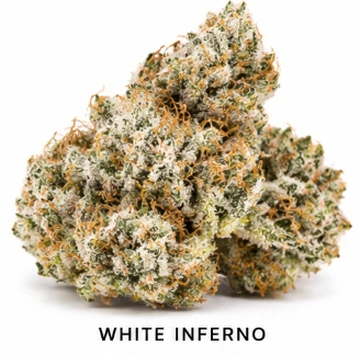 EMERALD FIRE (OK) - White Inferno- Deli Flower | Emerald Fire Main Image