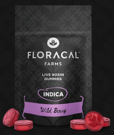 FloraCal - Wild Berry Live Rosin Gummies - 100mg Main Image