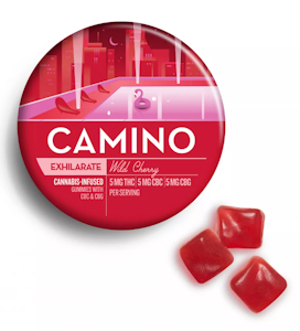Kiva Confections - Camino Wild Cherry "Exhilarate" CBC:CBG:THC Gummies - 100MG (20 Pack)