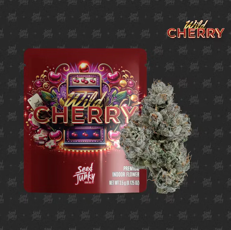 Seed Junky - Seed Junky - Indica - Wild Cherry Indoor - (3.5g) Main Image