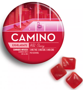 KIVA - Camino - Wild Cherry 20PK - Sativa - 100MG