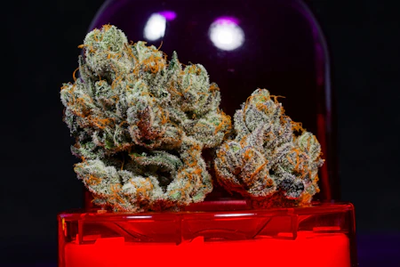 Wizard Trees - Wizard Fuel 29.70% THC | Wizard Trees | 3.5g Flower