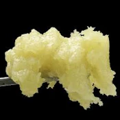 WOJO CO - Berry Blackout 1g Live Rosin