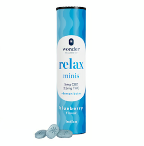 WONDER WELLNESS CO. - Wonder Minis | Mints (40ct) | Relax - Blueberry | 100mg