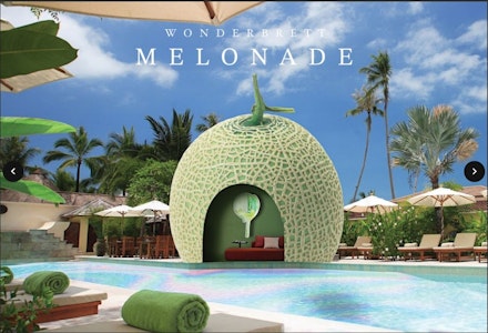 Wonderbrett - Wonderbrett | Preroll | Melonade | 1pk .7g