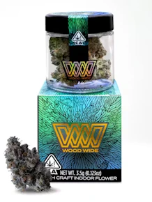 Pleazure 3.5G