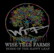 Wise Tree Farms | Snow Bud