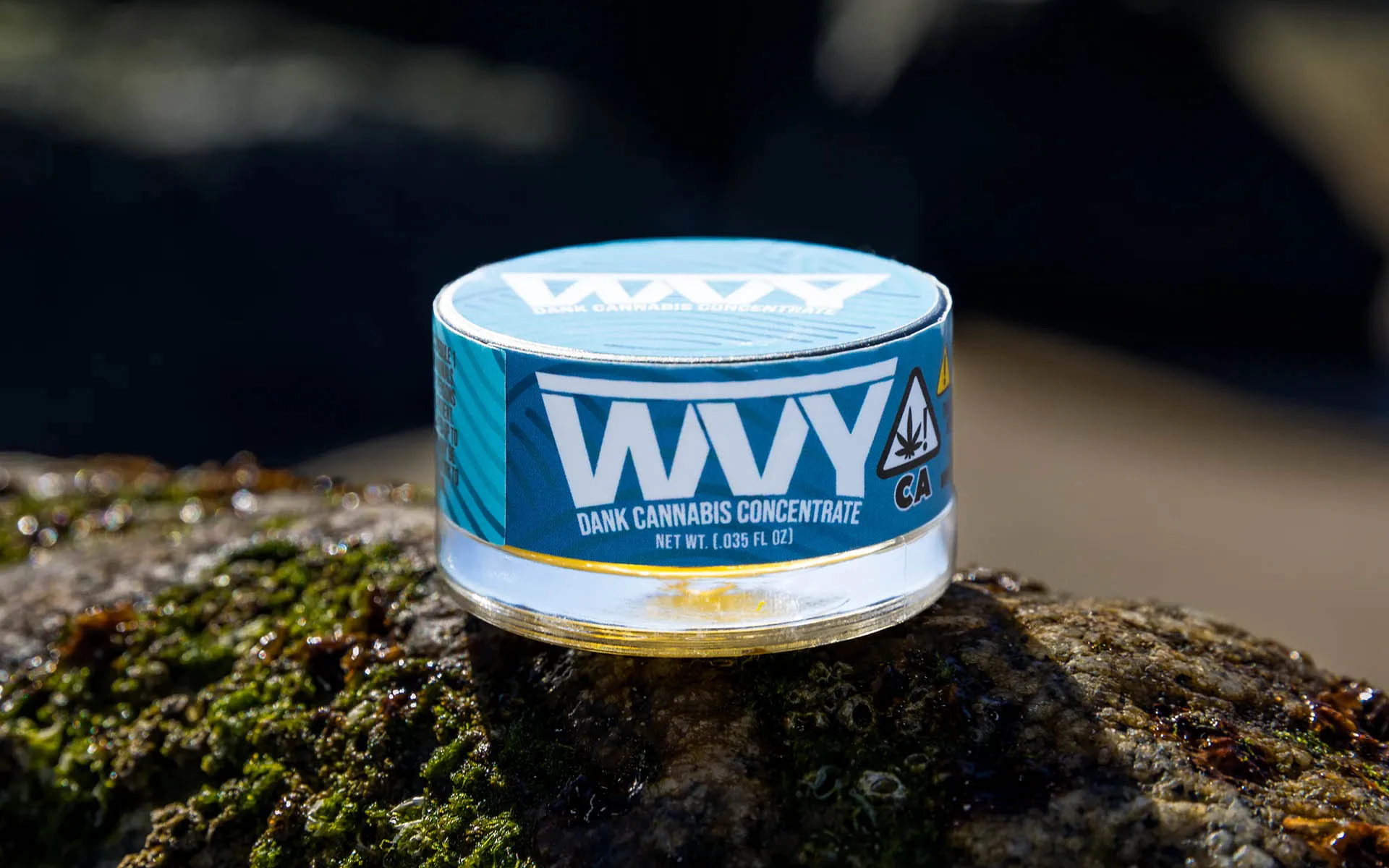 WVY - Wvy - Citrus Burzt - 1g Sauce Main Image