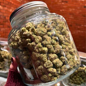 Animal Face | Hybrid