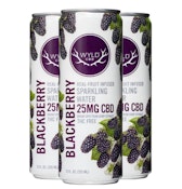WYLD CBD Blackberry Sparkling Water 25mg