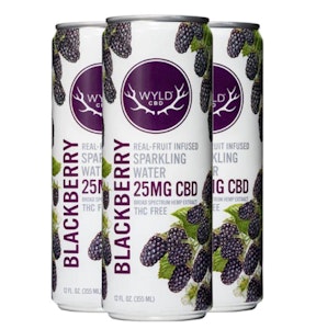 WYLD - WYLD CBD Blackberry Sparkling Water 25mg