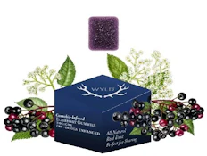 Wyld - High Dose - Elderberry CBN/THC Gummy - 200mg