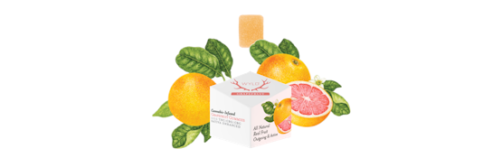 Wyld Grapefruit - 1:1:1 CBG/CBC/THC Gummies - Wyld