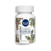Wyld Huckleberry 250mg CBD Gummies