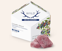 Huckleberry Playful Gummies - 100mg 10PK