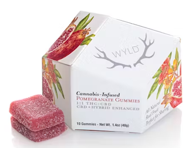 WYLD - WYLD Pomegranate 1:1 CBD + Hybrid Enhanced Gummies