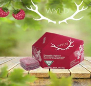 Wyld - High Dose - Raspberry Sativa Gummy - 200mg