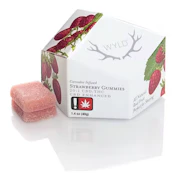 WYLD | Strawberry Gummies | 20:1 CBD:THC