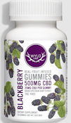 Wyld | 500mg CBD Gummies 20pc | Blackberry