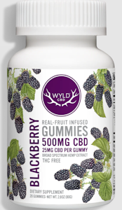 WYLD - Wyld | 500mg CBD Gummies 20pc | Blackberry