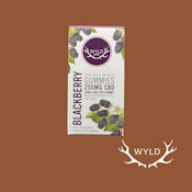 Wyld CBD Gummies Blackberry 250mg