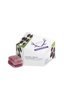 Wyld - Wyld Marionberry 100mg Gummies