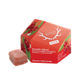 WYLD - Sour Cherry - 100mg