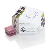 WYLD Marionberry Indica Gummies 100mg