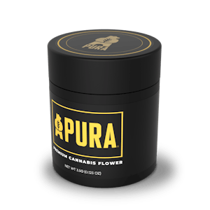 PURA - Pura | Blue Dream X Purple Punch | 3.5g Sativa