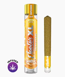 Jeeter - INFUSED XL - MIMOSA 2G - JEETER