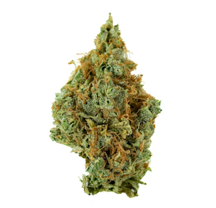 Pruf Cultivar - Pruf Cultivar JOMO