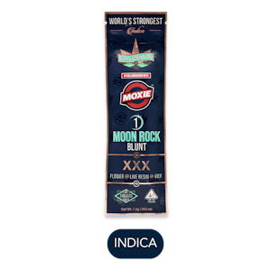 PRESIDENTIAL - Presidential - Moonrock Blunt - XXX - Infused Blunt - 1.5g