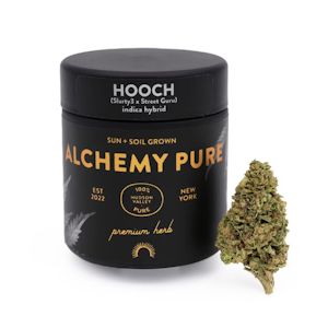 ALCHEMY PURE - Hooch - Flower - 3.5g