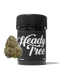 HEADY TREE - Heady Tree | Flower - Da Yayo | 3.5g