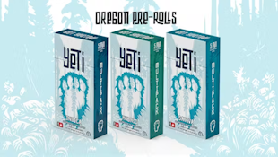 Cap Junky x Pink Passion Fruit, 10 pack, 10g
