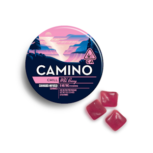 CAMINO - Camino Wild Berry (I) Gummies 100mg