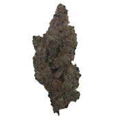 Pruf Cultivar Island Blends #10