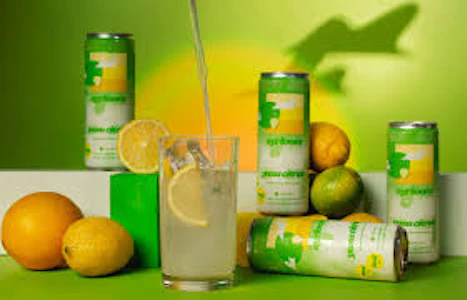 AYRLOOM - Yuzu Citrus | Infused Sparkling Water | 2:1 THC:CBD | 10mg/12fl oz (Ayrloom)